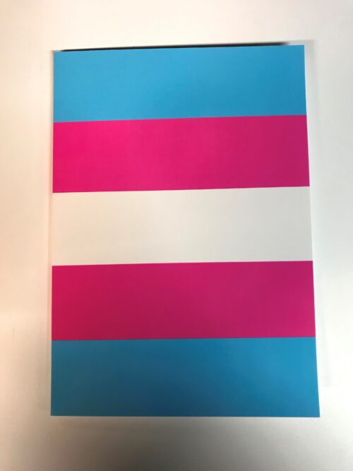 image shows a notebook with cover in trans flag colours